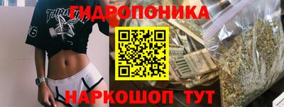 гидра Шебекино