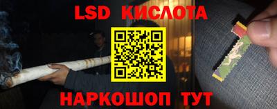 гидра Шебекино