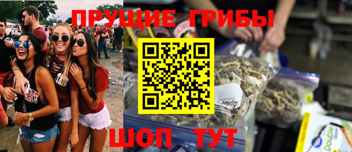 Галлюциногенные грибы GOLDEN TEACHER  Вход с VPN  Псилоцибиновые грибы GOLDEN TEACHER  Батайск 